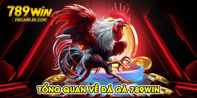 Tổng quan về đá gà 789win