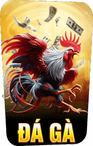 đá gà 789win